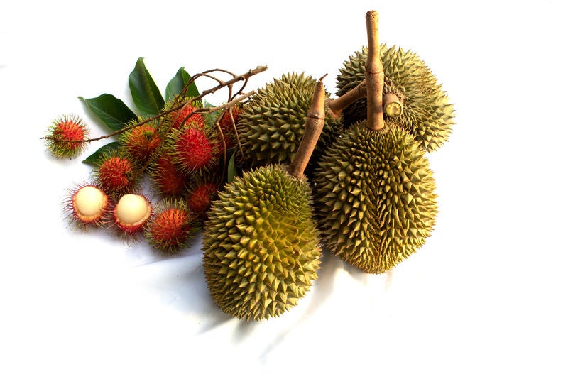 durian rambutan