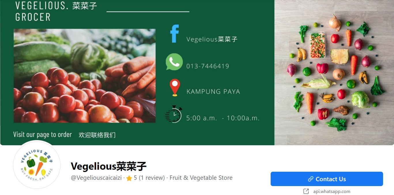 vegelicius菜菜子fb page