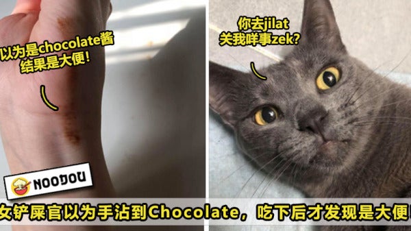 以为是Chocolate其实是大便Ft Image