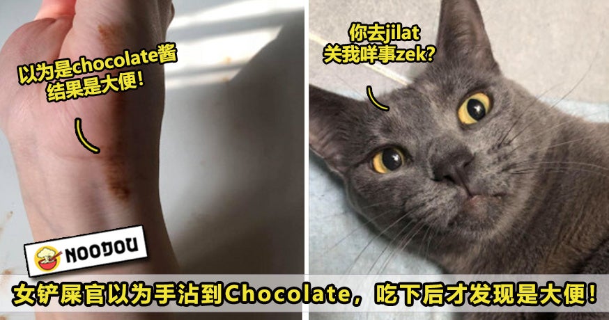 以为是Chocolate其实是大便Ft Image