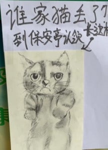 保安画的猫画像