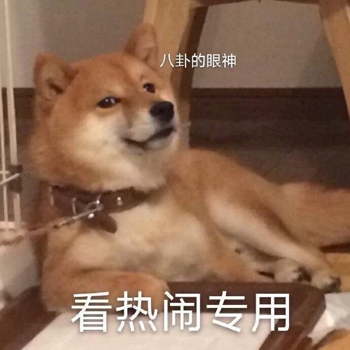 狗狗表情包