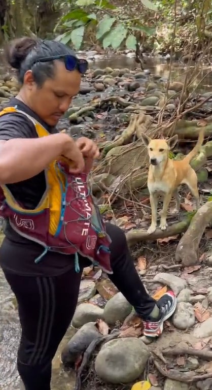 给狗狗食物