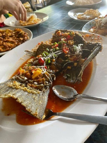 fish siakap