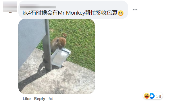 Um Monkey Comment 5