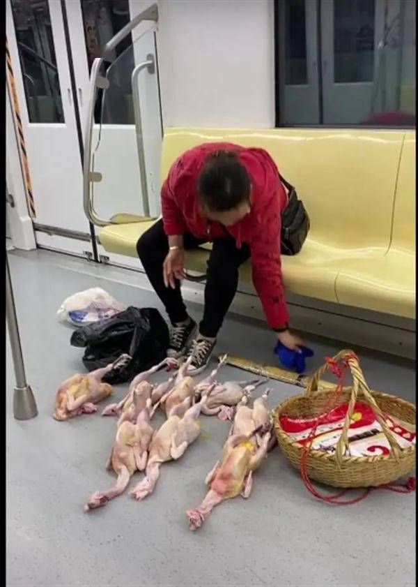 地铁卖鸡2