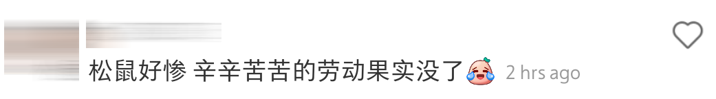 松鼠塞果子 comment 17