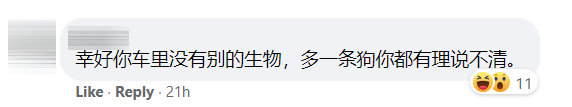 脱衣服开车Comment1