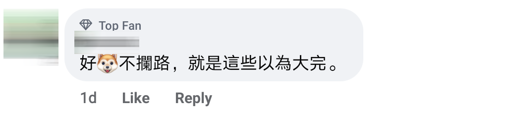 自己指挥交通Comment 4