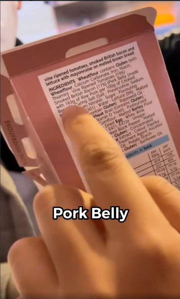 Accidentally Ate Pork 1