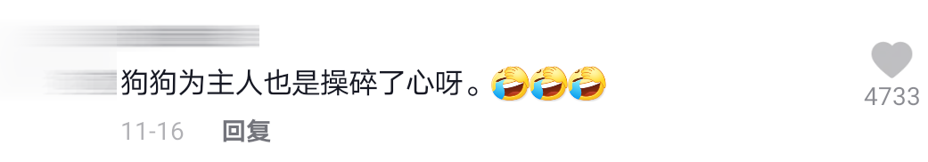 男子被狗追comment 1