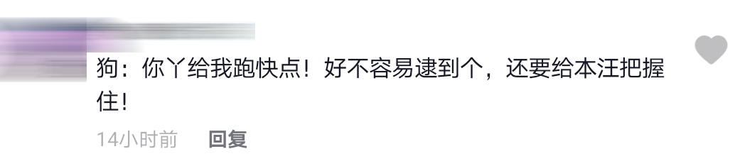 男子被狗追comment 14