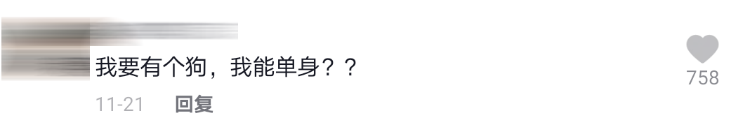 男子被狗追Comment 6