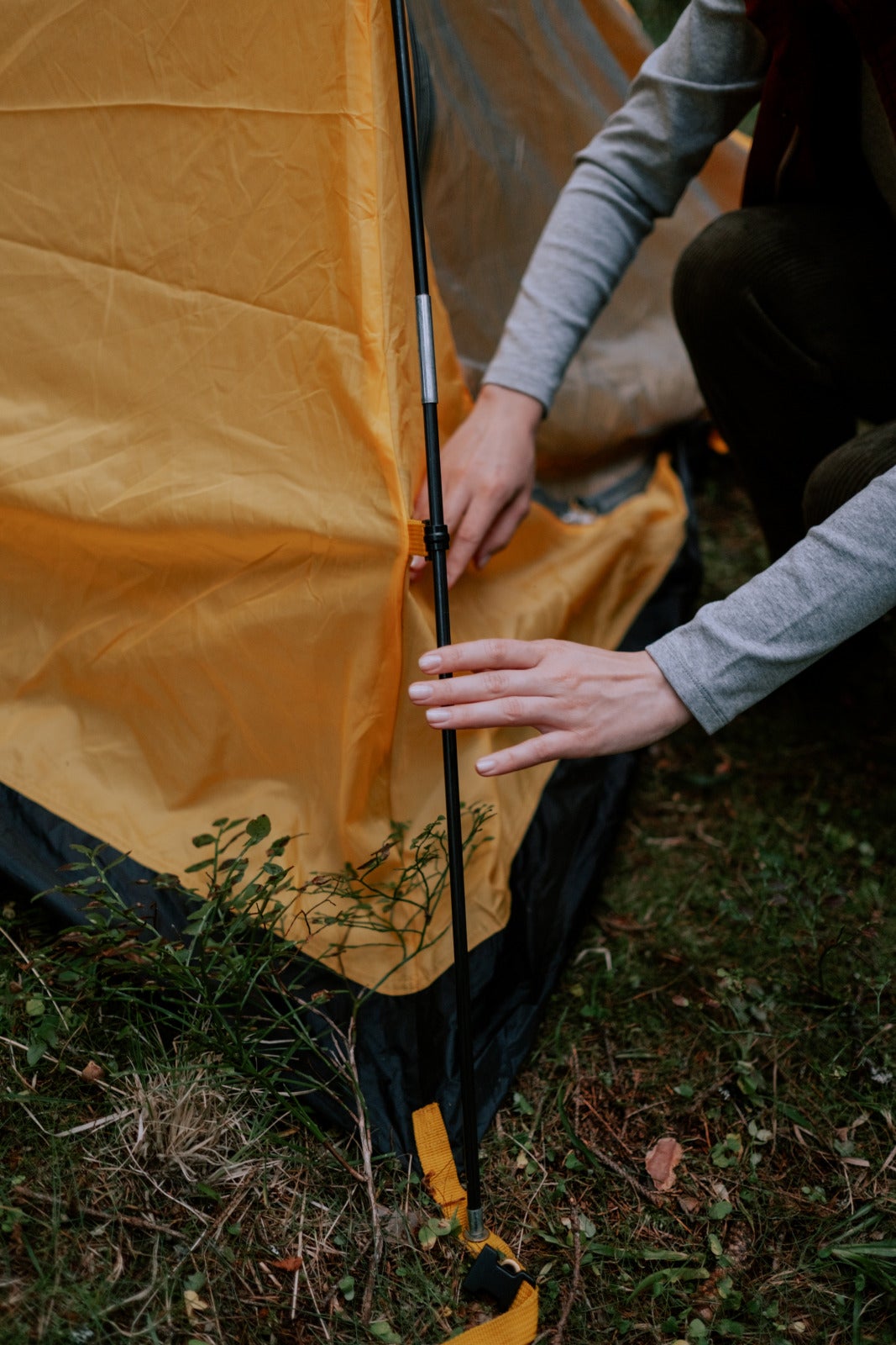 Camping tent pexels cottonbro 5993940