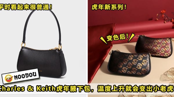 Charles Keith Tiger Bag Featured