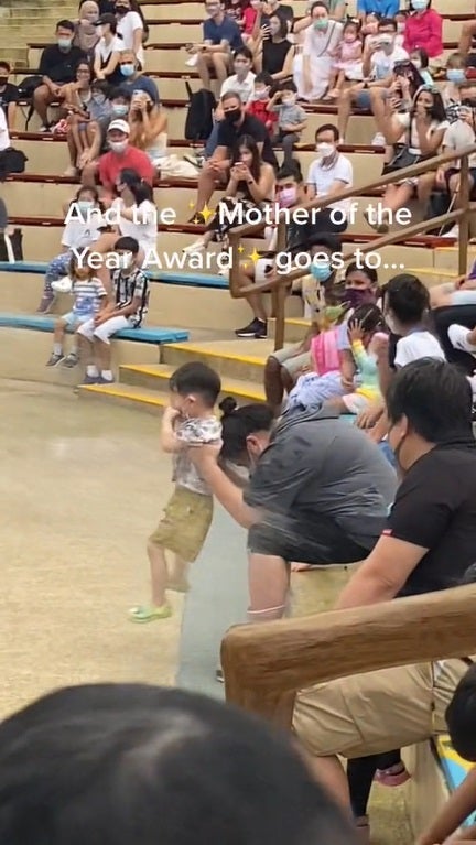 SS3 mum uses boy as shield in sea lion performance singapore zoo