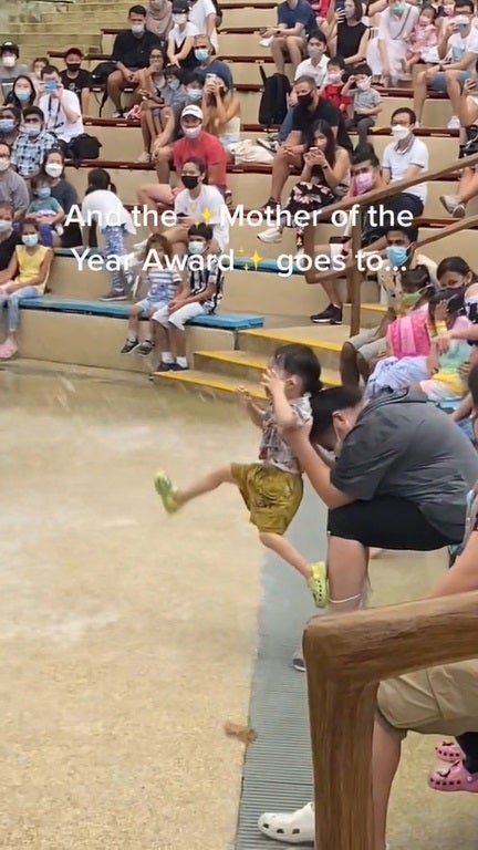 Ss5 Mum Uses Boy As Shield In Sea Lion Performance Singapore Zoo