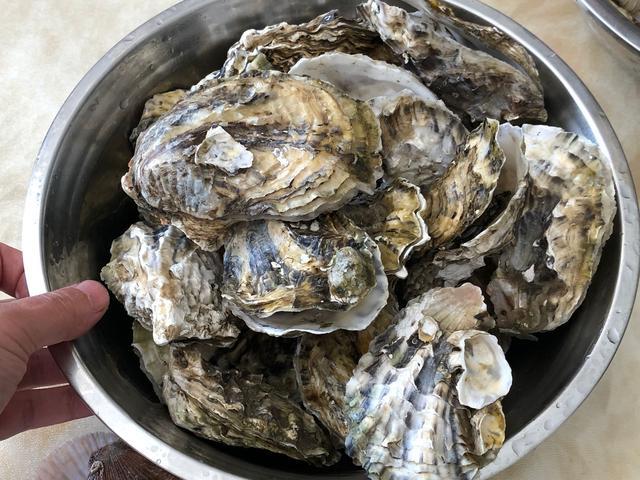 Oyster