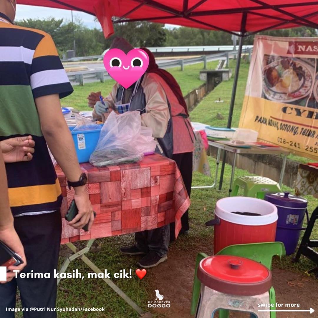 Dog Eats Free Nasi Lemak From Malay Stall Owner 5