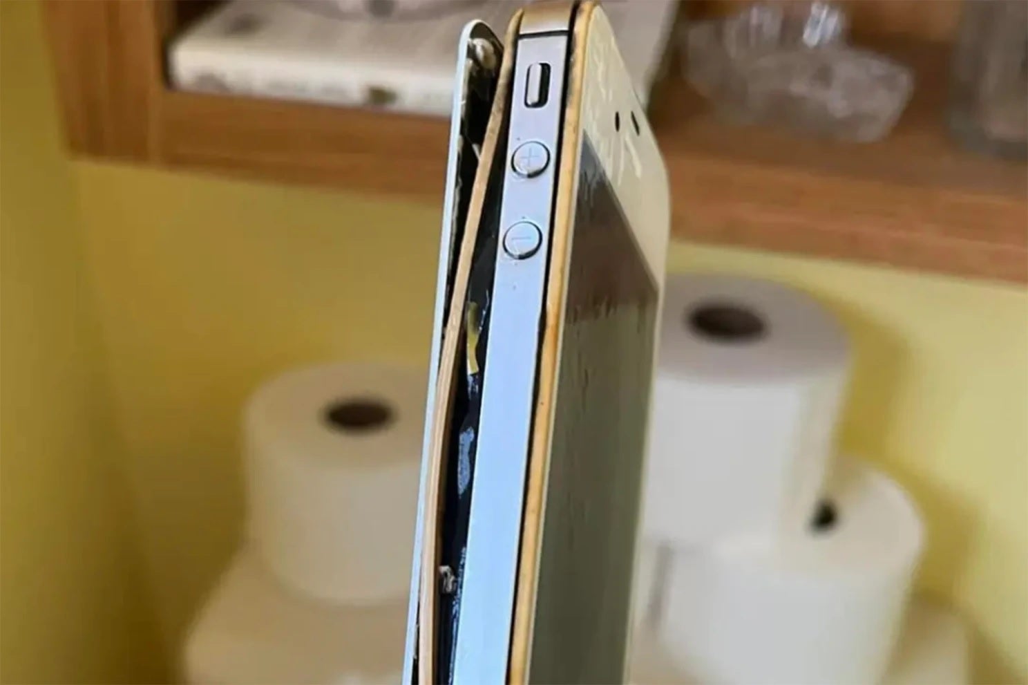 Iphone Found In Toilet After 10 Years