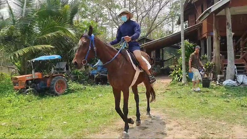 man rides horse to work petrol too expensive 2