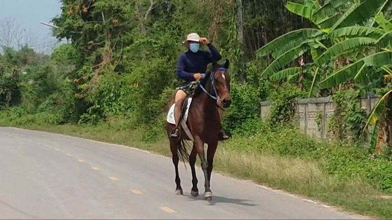 Man Rides Horse To Work Petrol Too Expensive 3