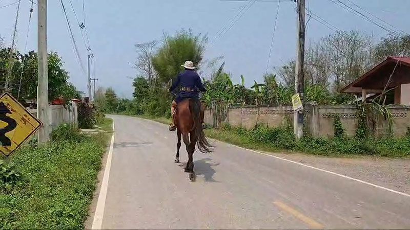 Man Rides Horse To Work Petrol Too Expensive 4