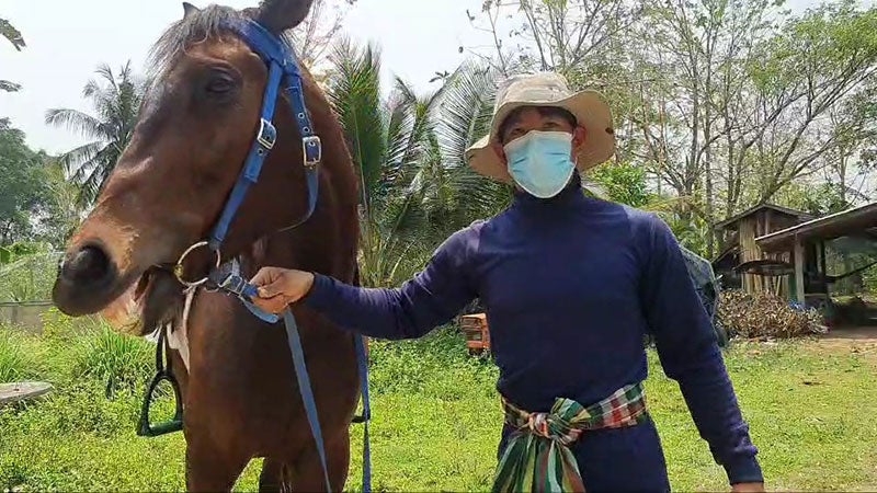 Man Rides Horse To Work Petrol Too