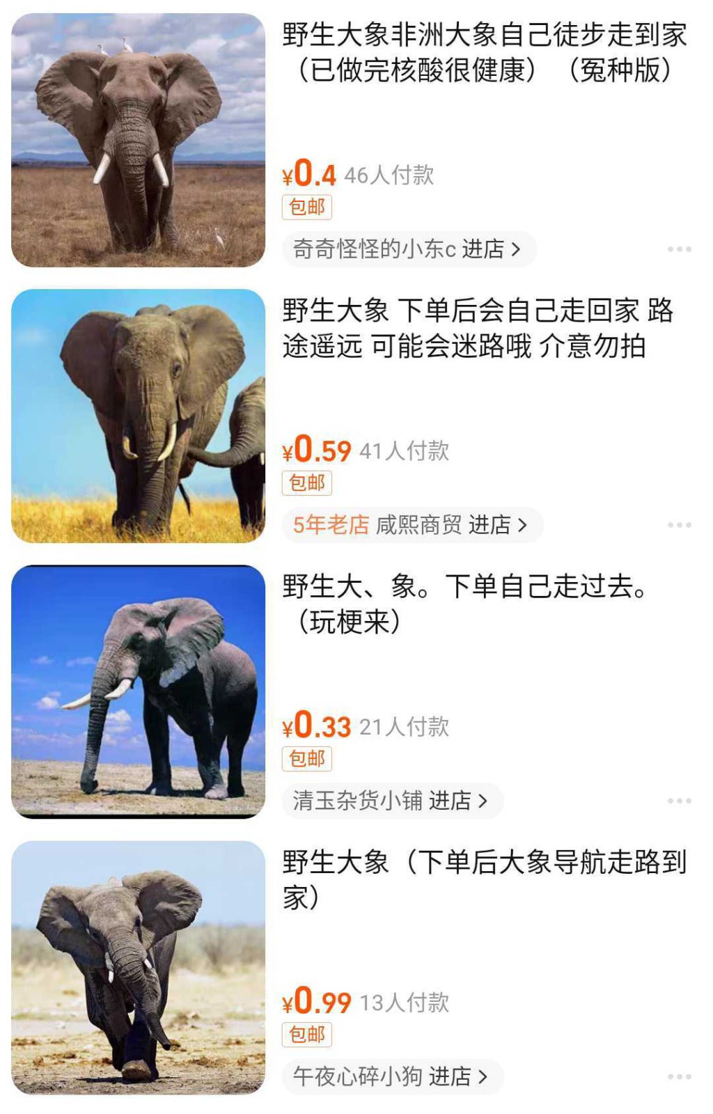 大象2