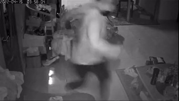 SS 2 Burglar jumps and run cat attacks