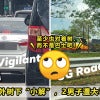 Pee Road Feature Image