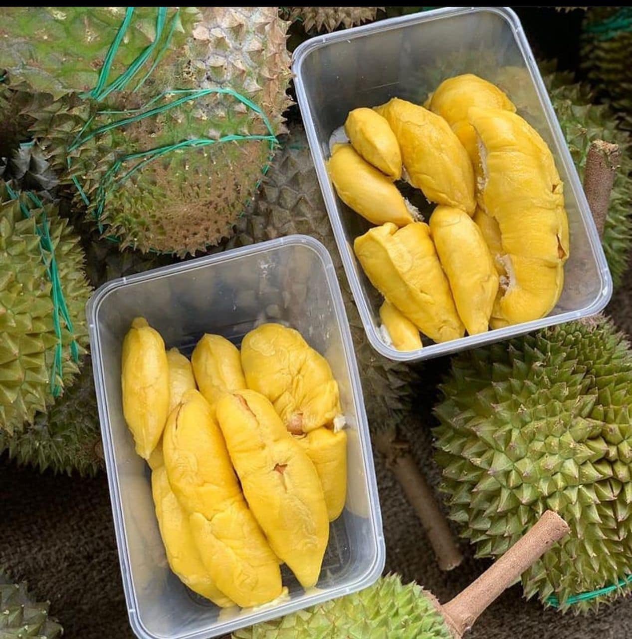 Rizky Durian Pregnant Woman Free Durian 8