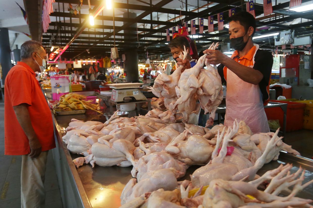 Chicken Stall Seller Pasar