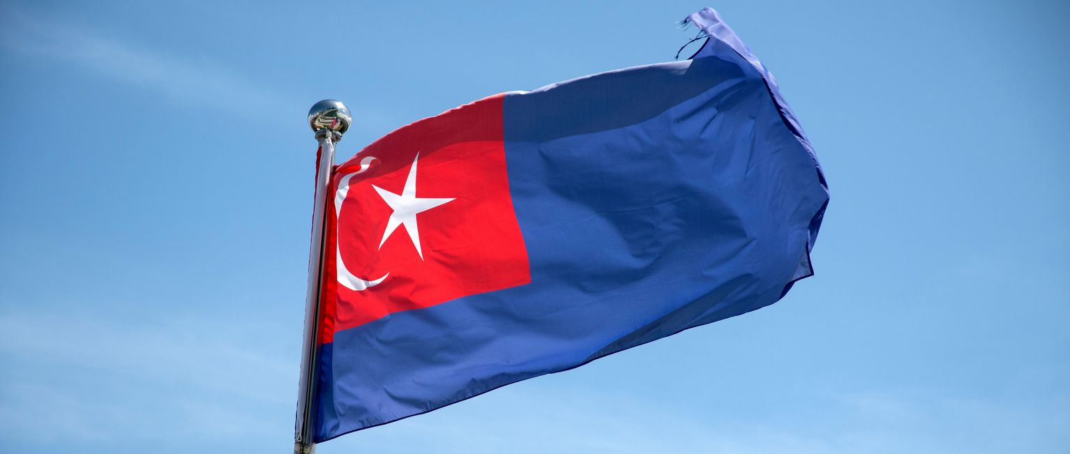 Johor Flag