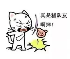 猪队友