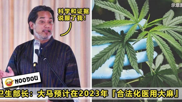 Cannabis Msia Feature Image