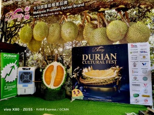 Durian Fest Pc