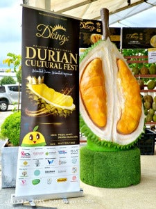 Durian Fest Stand