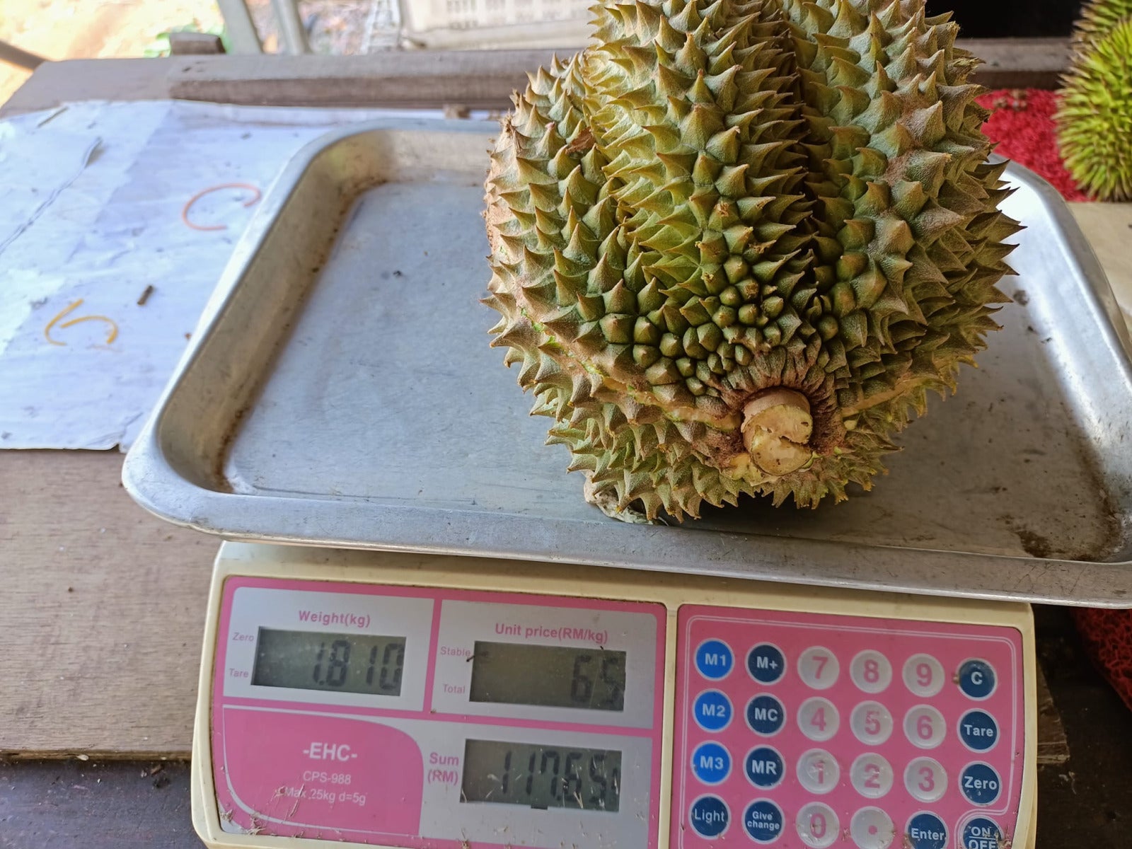durian scaled