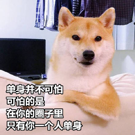 表情包