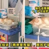 Cat in Hospital Ward Feature Image