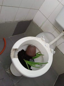 厕所1