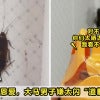 Cockroach Mate Spray Feature Image