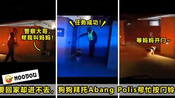 Dog Abang Police Open Door Featured