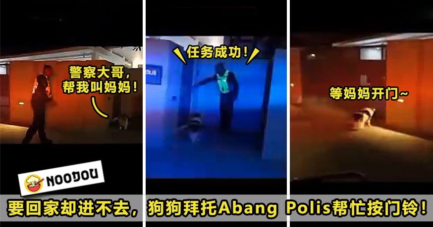 Dog Abang Police Open Door Featured