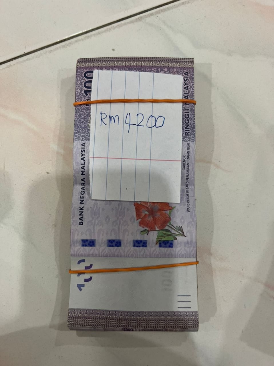 Rm100 1