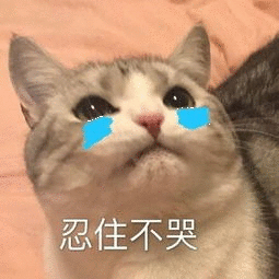 cry cat