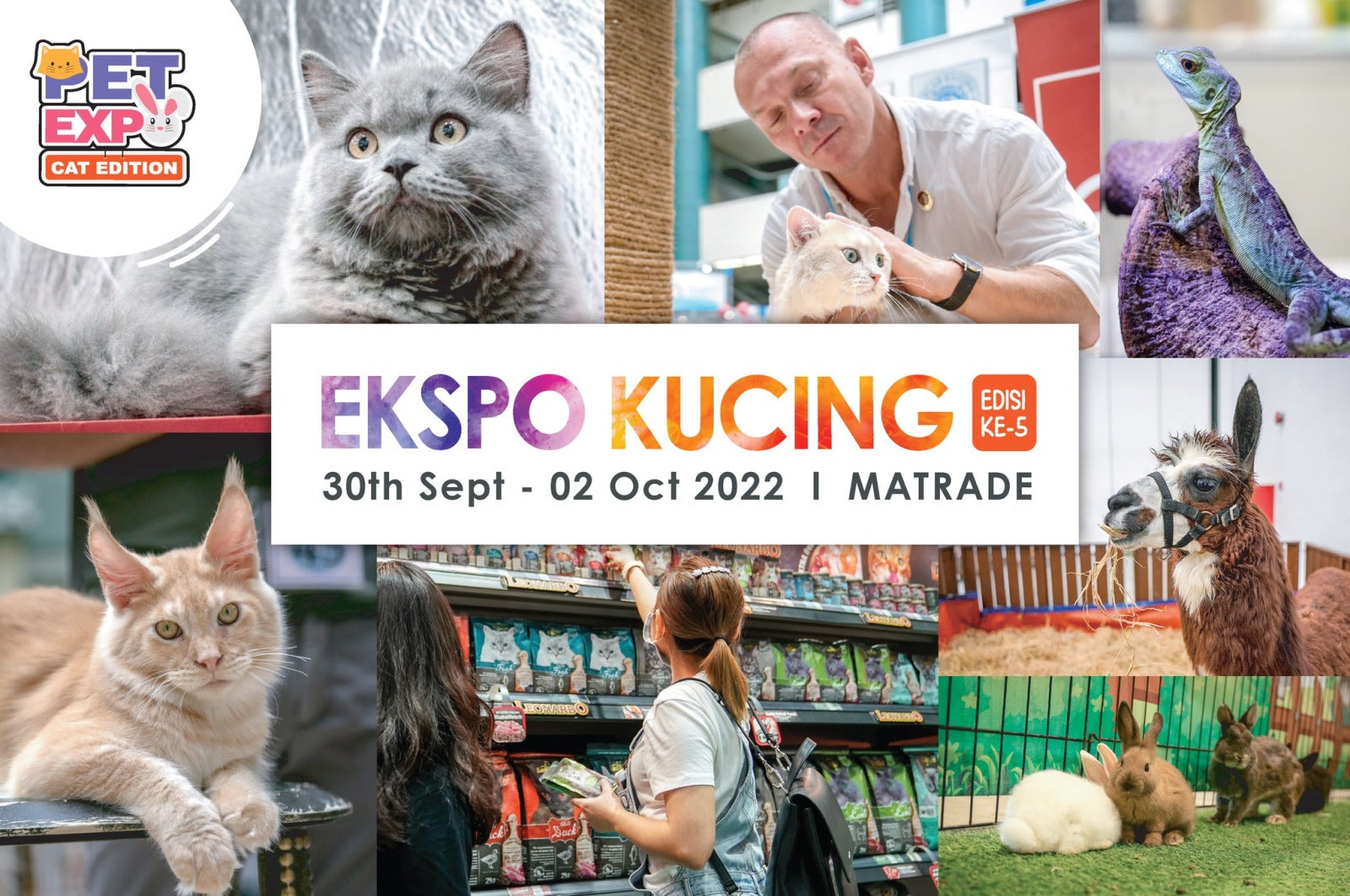 expo kucing banner