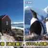 Count Penguins Feature Image 1