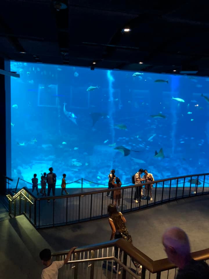 S水族馆